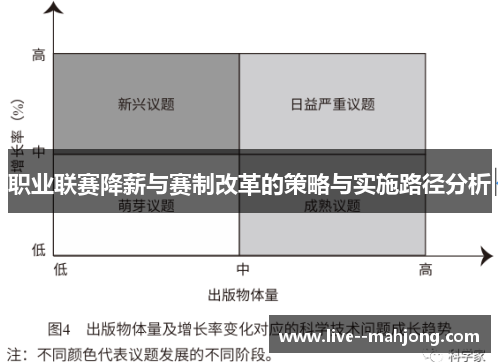 职业联赛降薪与赛制改革的策略与实施路径分析