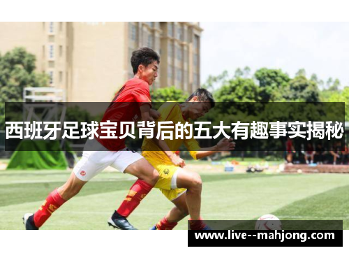 西班牙足球宝贝背后的五大有趣事实揭秘