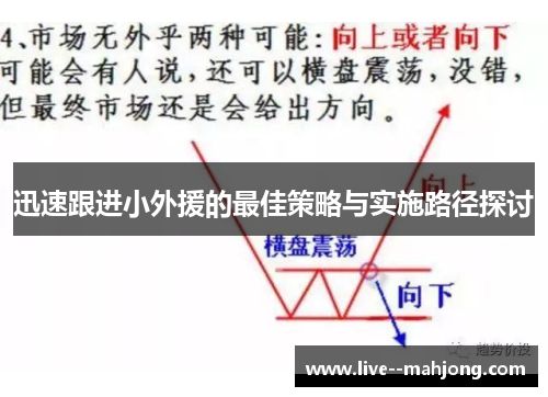 迅速跟进小外援的最佳策略与实施路径探讨 迅速跟进小外援的最佳策略与实施路径探讨