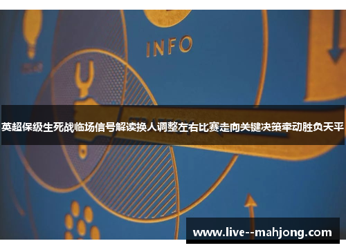 英超保级生死战临场信号解读换人调整左右比赛走向关键决策牵动胜负天平