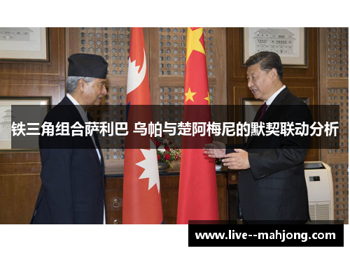 铁三角组合萨利巴 乌帕与楚阿梅尼的默契联动分析