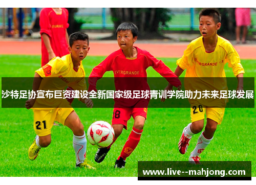 沙特足协宣布巨资建设全新国家级足球青训学院助力未来足球发展 沙特足协宣布巨资建设全新国家级足球青训学院助力未来足球发展