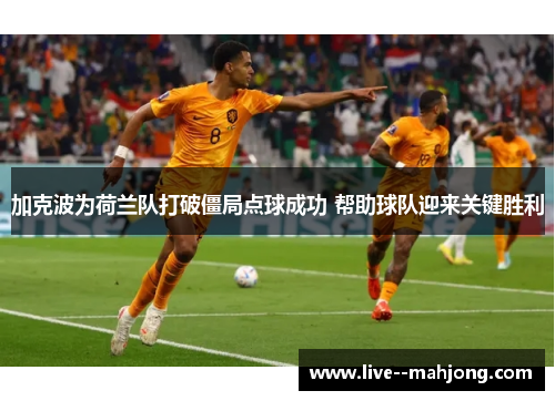 加克波为荷兰队打破僵局点球成功 帮助球队迎来关键胜利