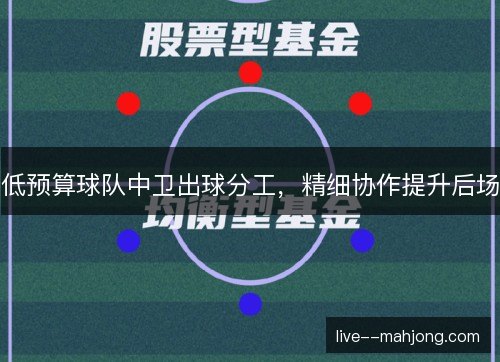 低预算球队中卫出球分工，精细协作提升后场
